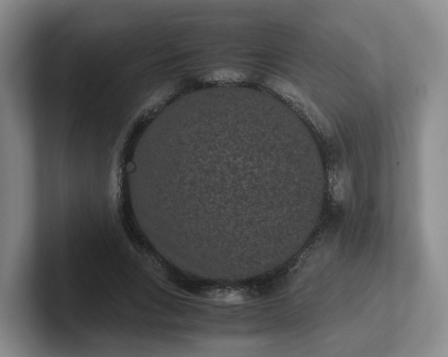 X0000102480735200808151449