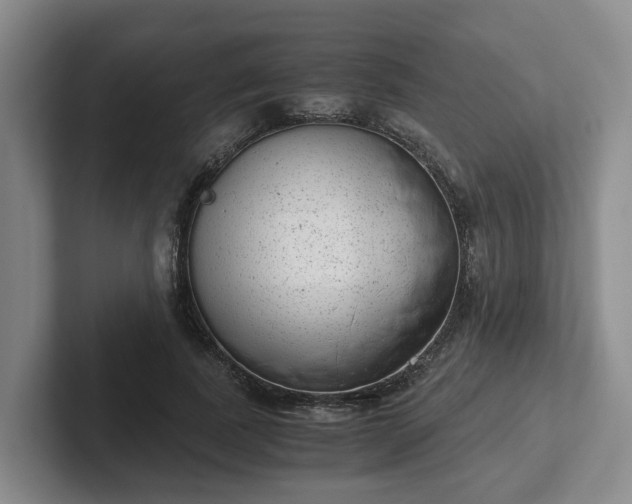 X0000102480739200808151449