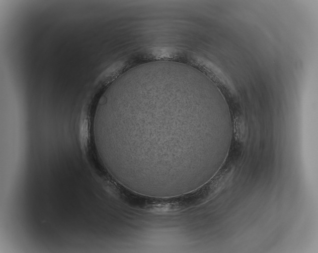 X0000102480740200808151449