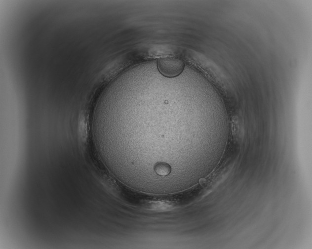 X0000102480741200808151449