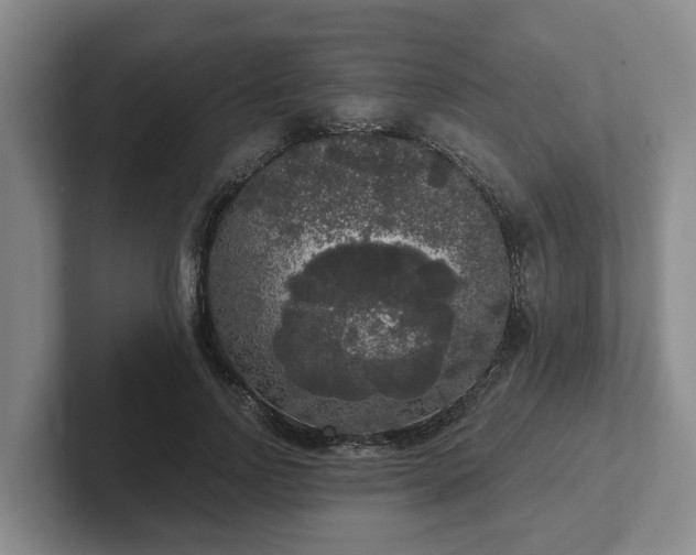 X0000102480742200808151449