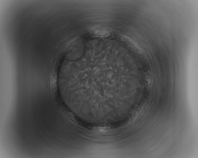 X0000102480745200808151449