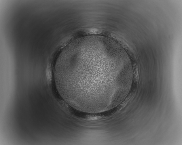 X0000102480746200808151449