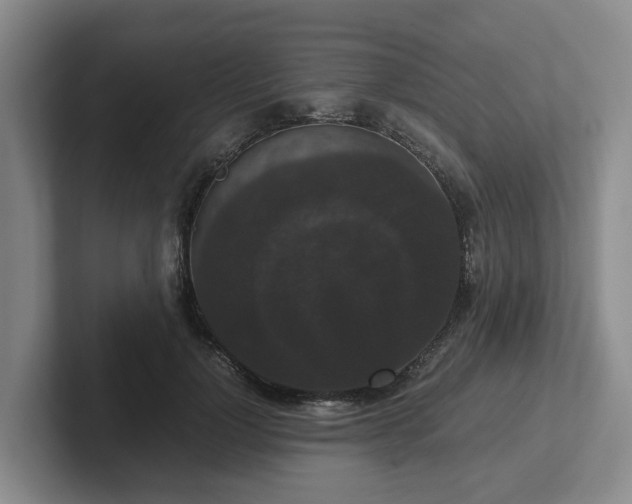 X0000102480748200808151450