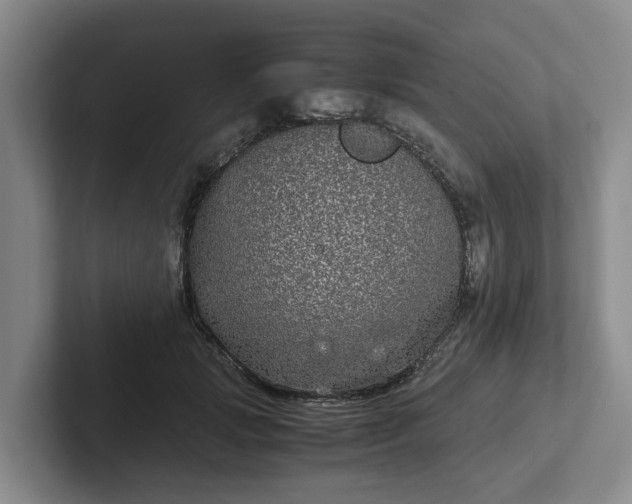 X0000102480749200808151450