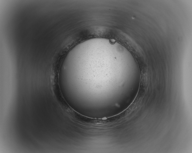 X0000102480750200808151450