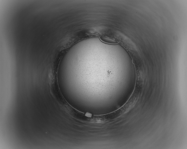 X0000102480751200808151450