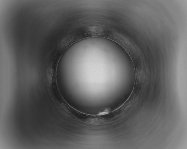 X0000102480752200808151450