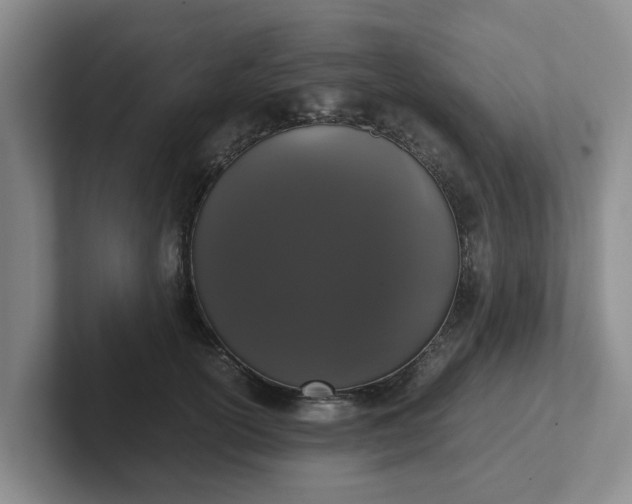 X0000102480754200808151450