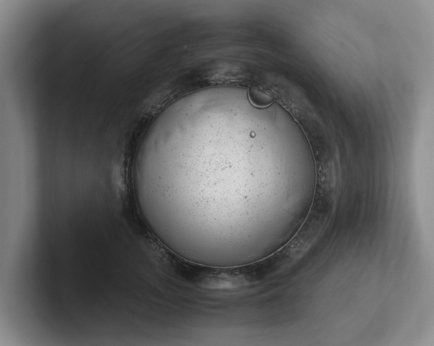 X0000102480755200808151450