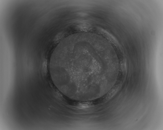 X0000102480757200808151450