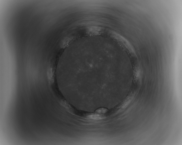 X0000102480759200808151450