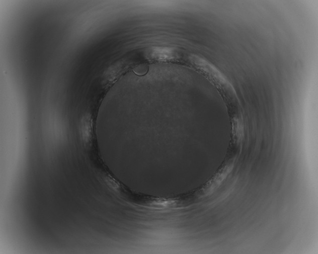 X0000102480760200808151450