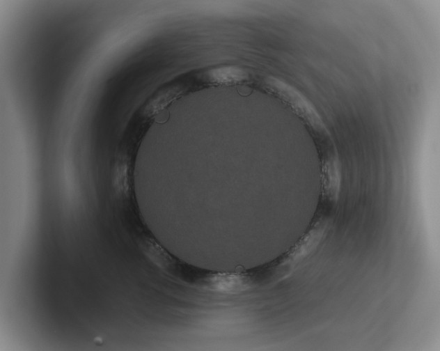 X0000102480762200808151450