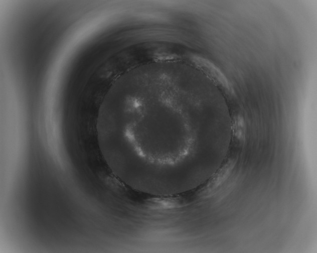 X0000102480763200808151450