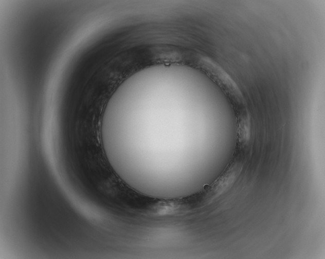 X0000102480764200808151450