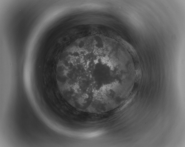 X0000102480765200808151450