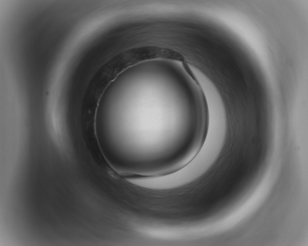 X0000102480766200808151450