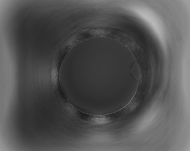 X0000102480767200808151450