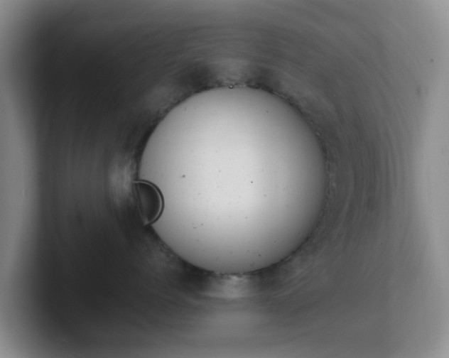 X0000102480768200808151450