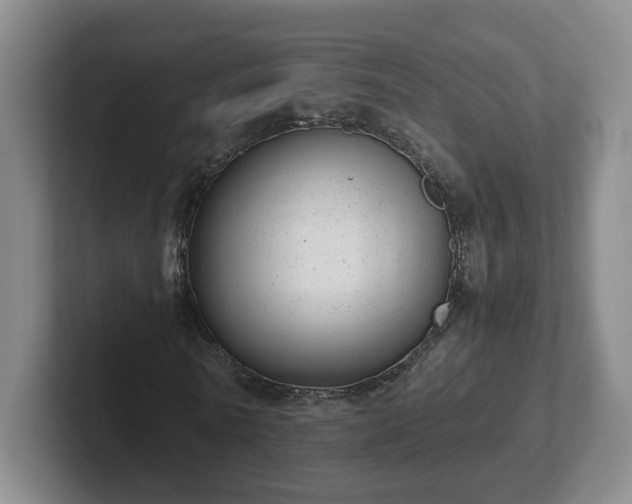 X0000102480770200808151449