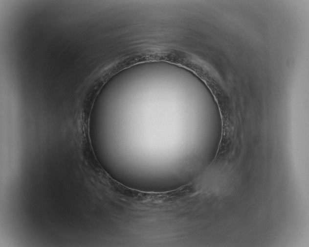 X0000102480773200808151449