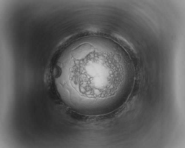 X0000102480776200808151449