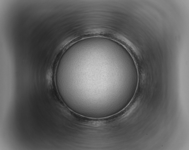 X0000102480778200808151449