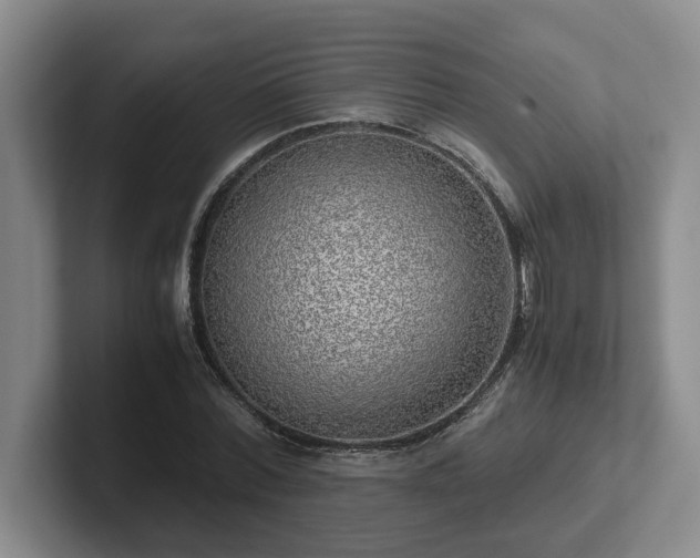 X0000102480780200808151449