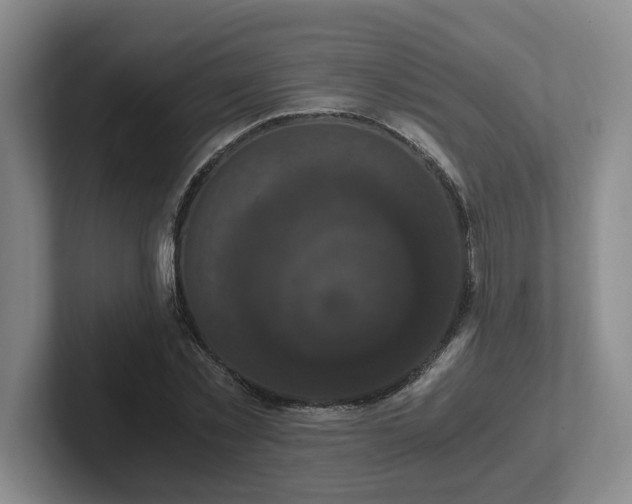 X0000102480781200808151449