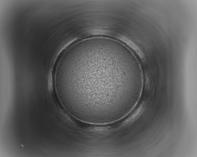 X0000102480782200808151449