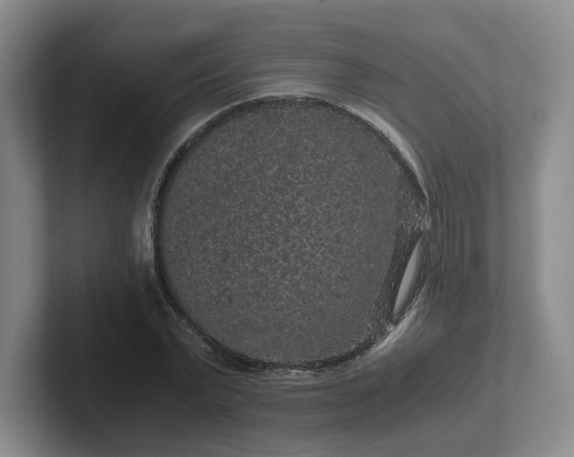 X0000102480783200808151449