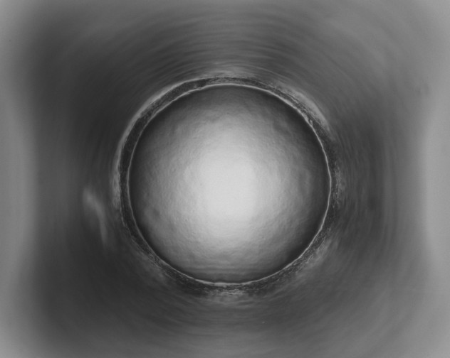 X0000102480784200808151449