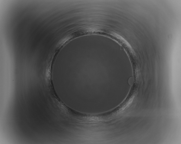 X0000102480785200808151449