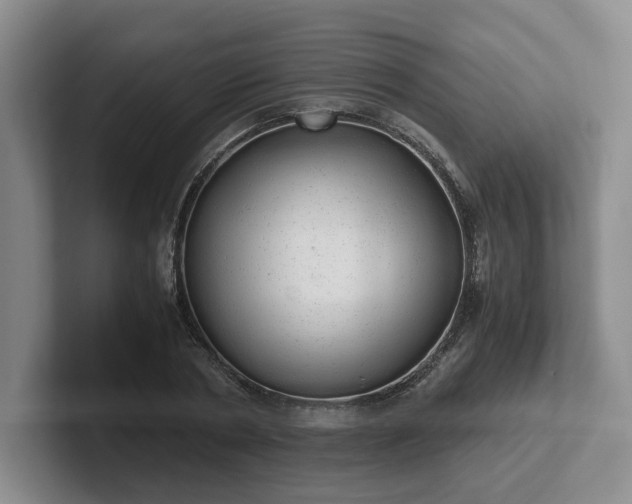 X0000102480786200808151449