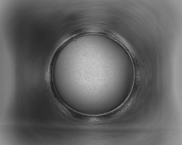 X0000102480787200808151449