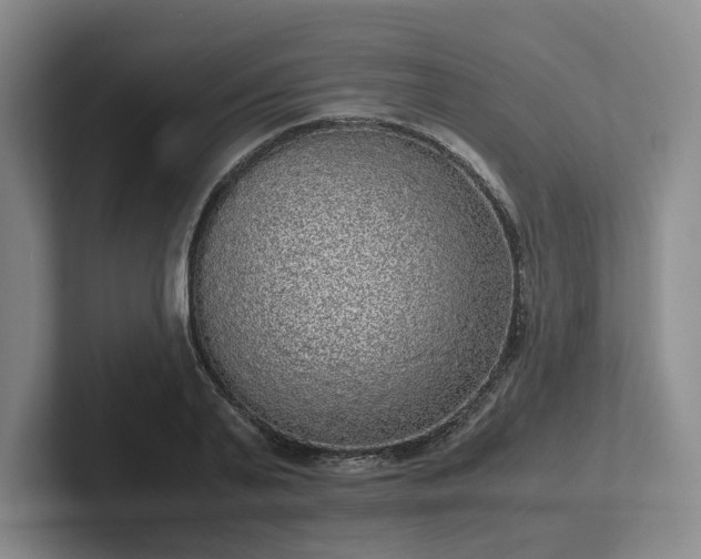 X0000102480791200808151449