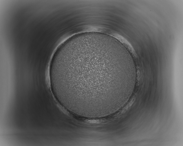 X0000102480792200808151449