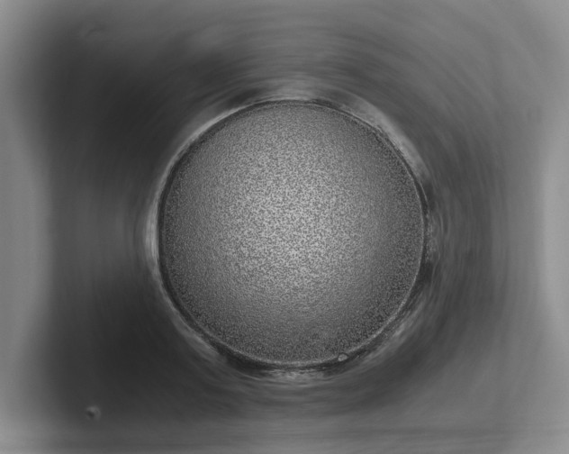 X0000102480795200808151449