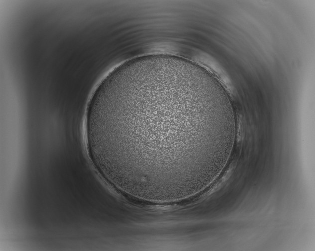 X0000102480796200808151449