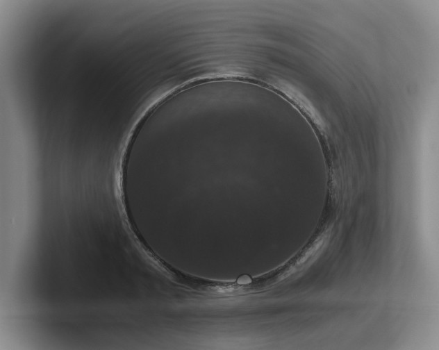 X0000102480797200808151449