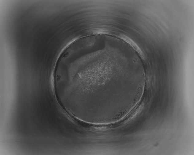 X0000102480798200808151449