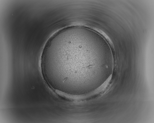 X0000102480799200808151449