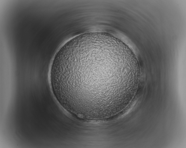 X0000102480803200808151449