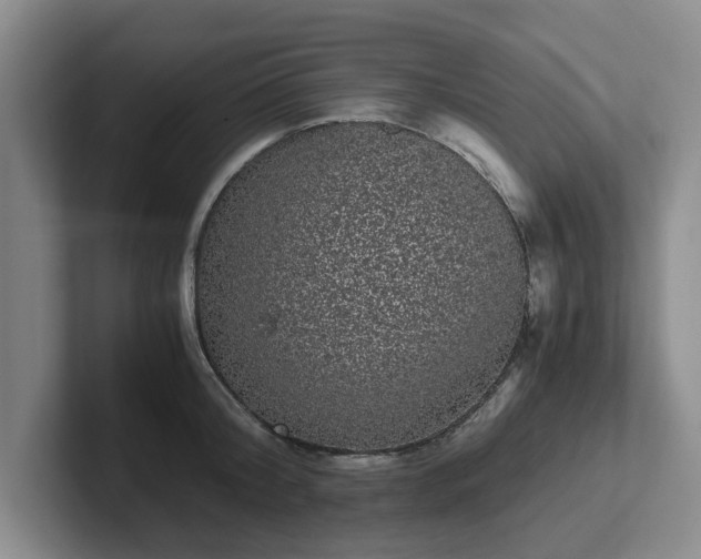 X0000102480804200808151449