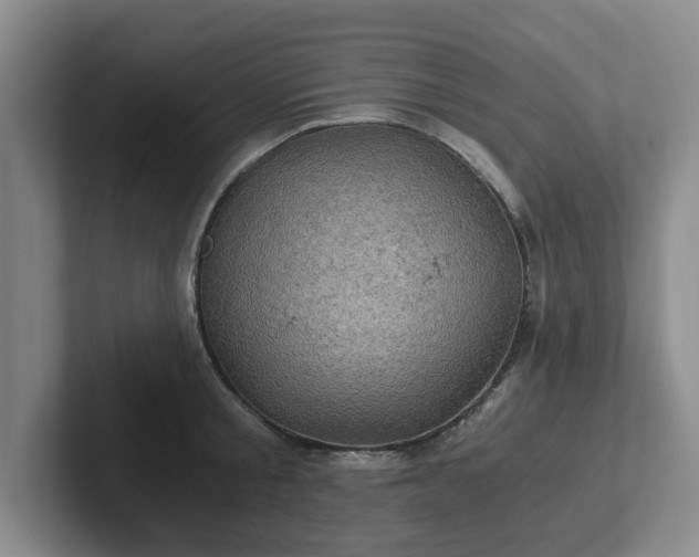 X0000102480805200808151449