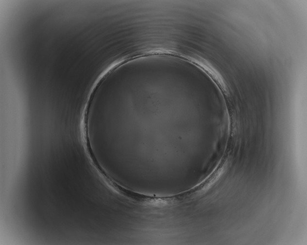 X0000102480806200808151449