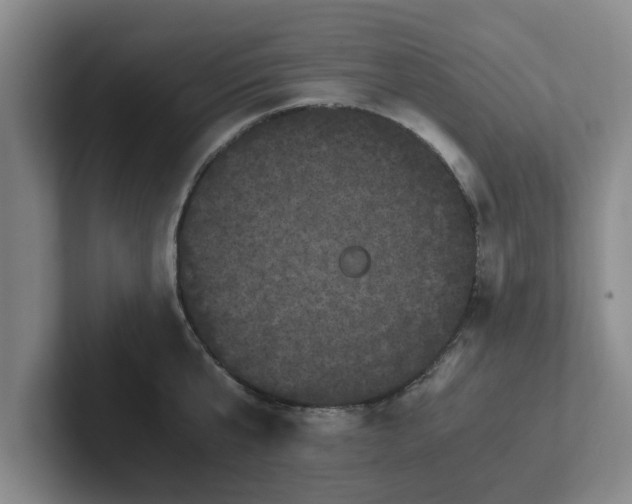 X0000102480807200808151449