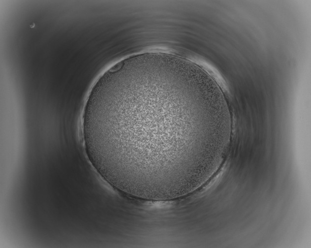 X0000102480808200808151449