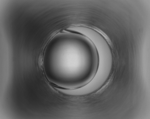 X0000102480809200808151449